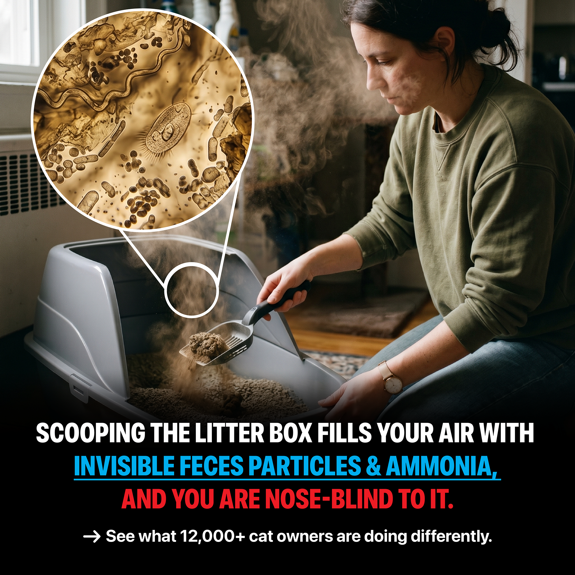 Pet Studio Facebook ad