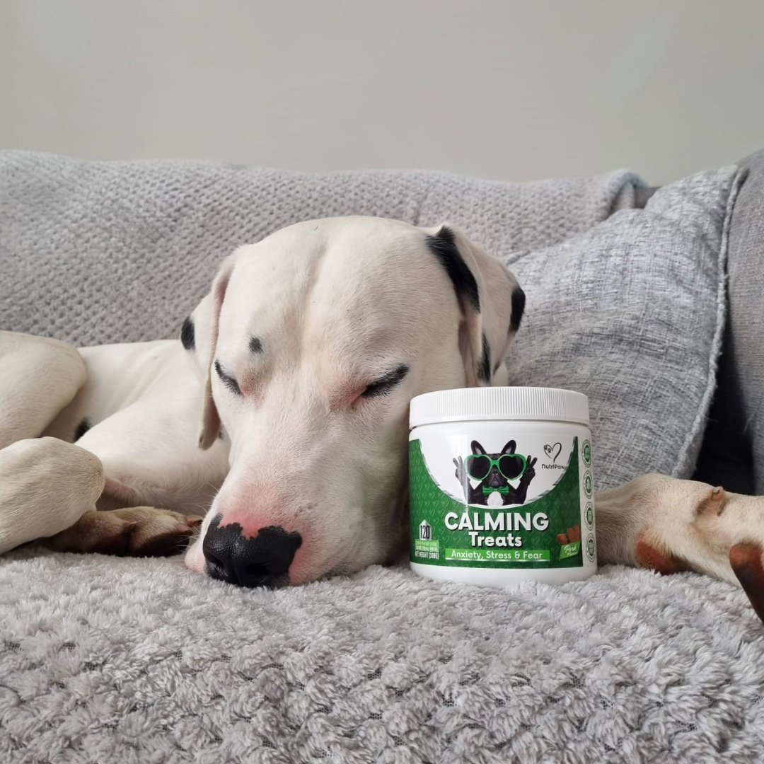 Nutri Paw Facebook ad