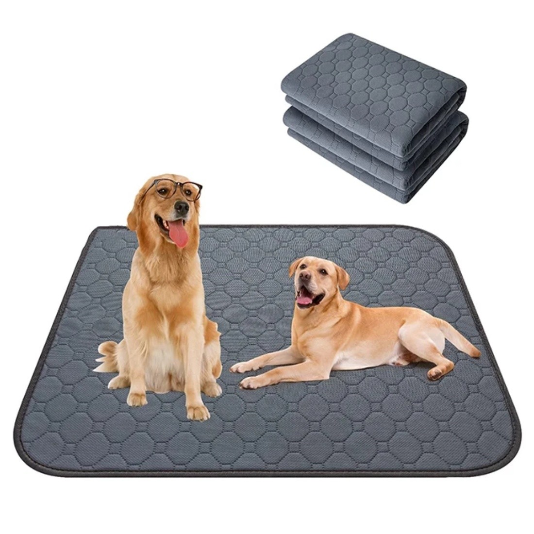 All 4 Pets Facebook ad: PAÑAL DE PISO REUTILIZABLE E IMPERMEABLE PARA MASCOTAS