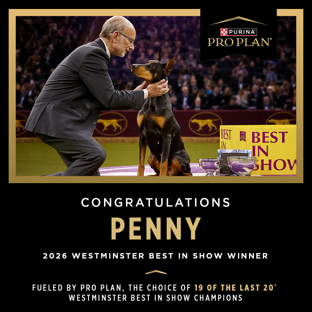 Purina Pro Plan Facebook ad