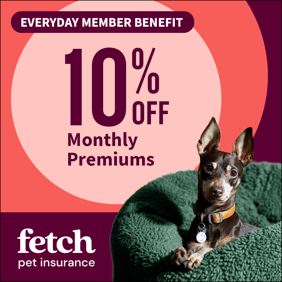 AARP Member Benefits Facebook ad