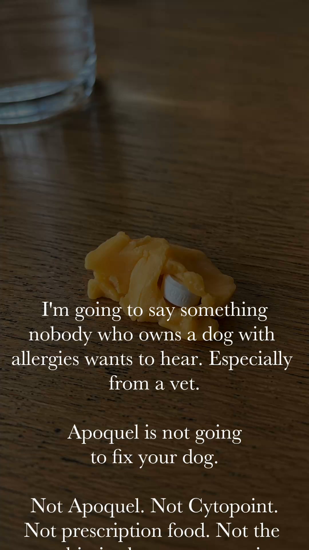 Dog Wellness Explained Facebook ad: Take Your Dog Off Apoquel And Give Them Itch Relief That…