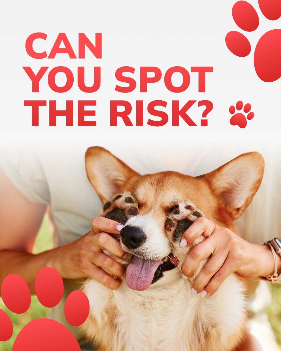 Apicenna Facebook ad: Look Closer at Your Dog’s Risk