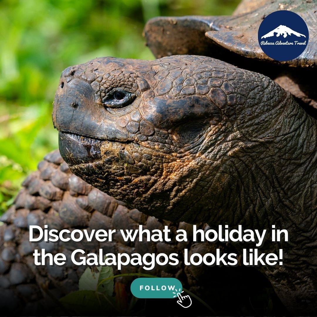 Rebecca Adventure Travel Facebook ad