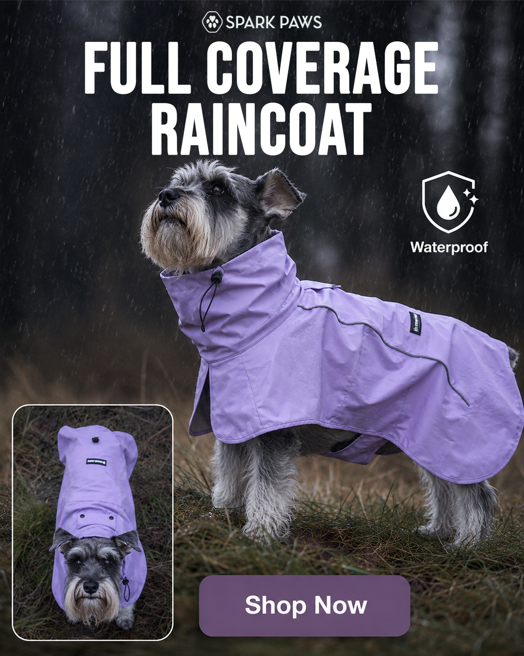 Spark Paws Facebook ad