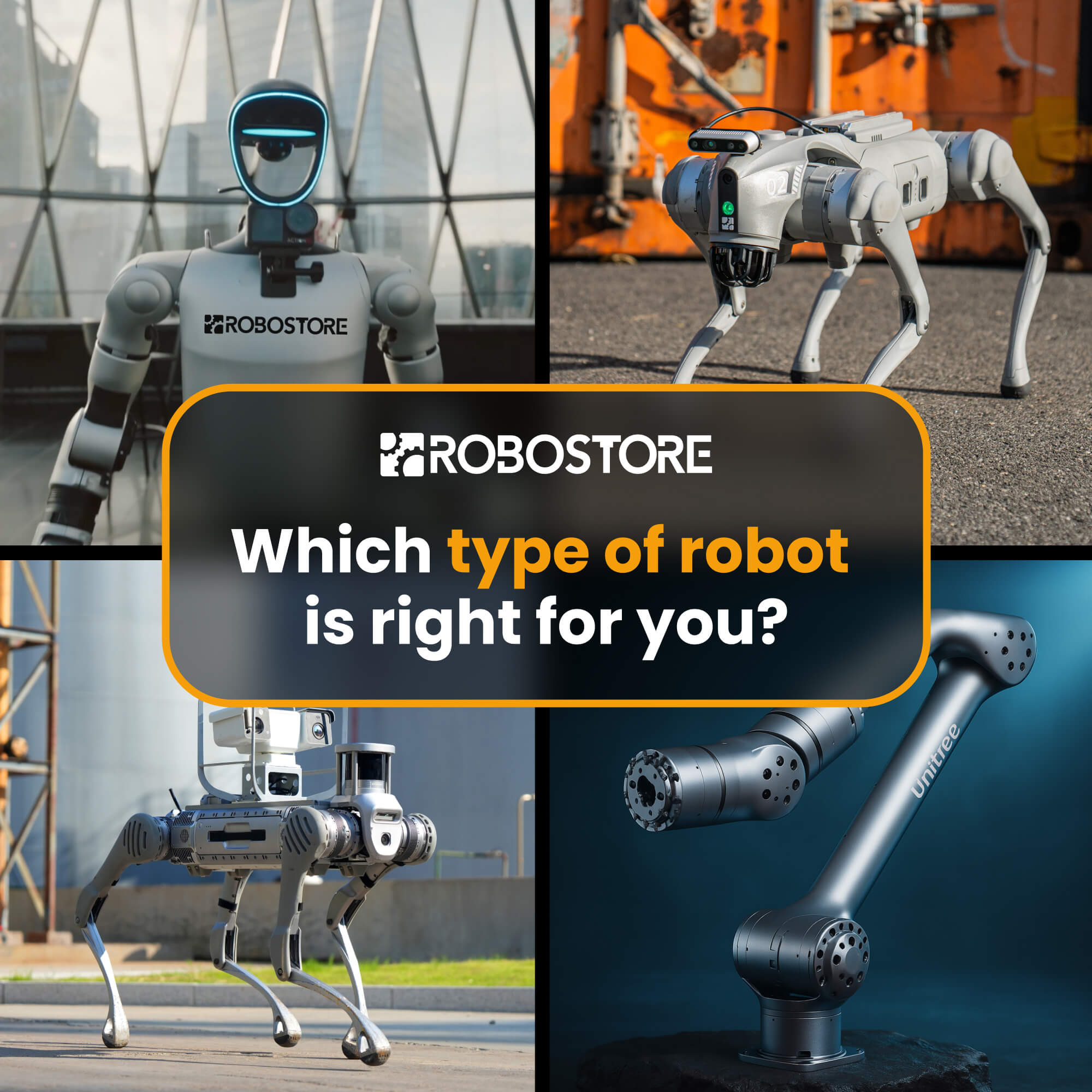 Robostore Facebook ad: Delivering Unitree Humanoids and Quadrupeds for education…