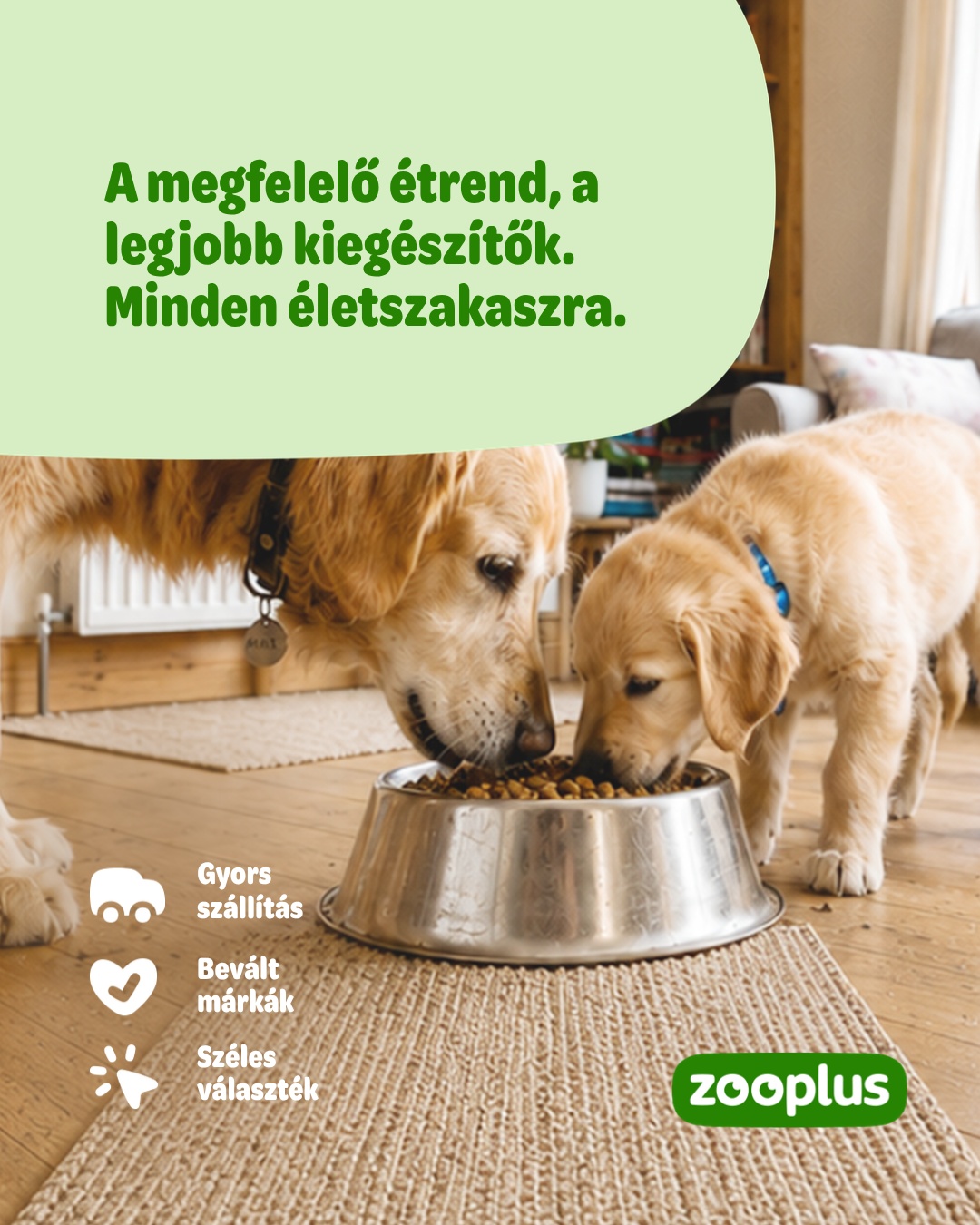 Zooplus INT Facebook ad