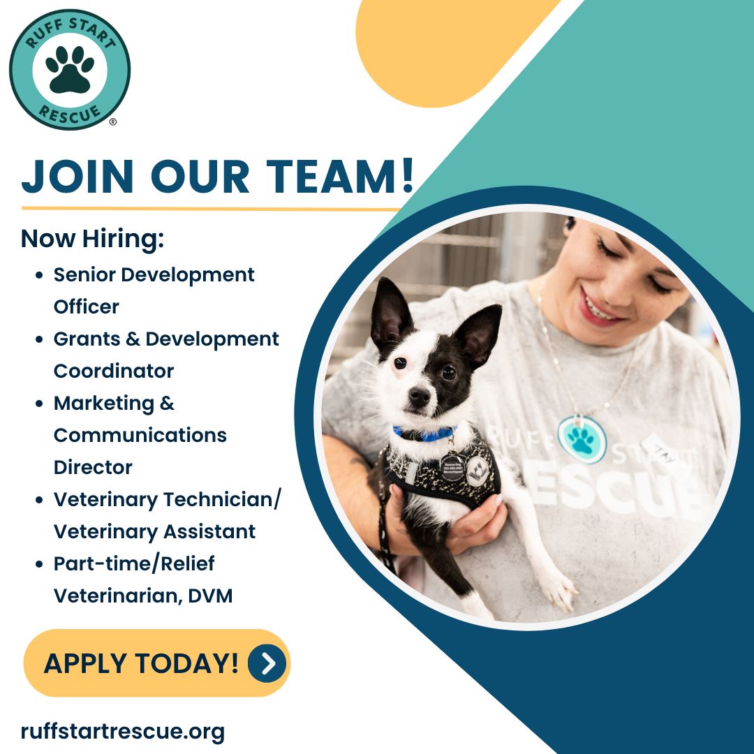 Ruff Start Rescue Facebook ad: Looking for a career where your work truly…