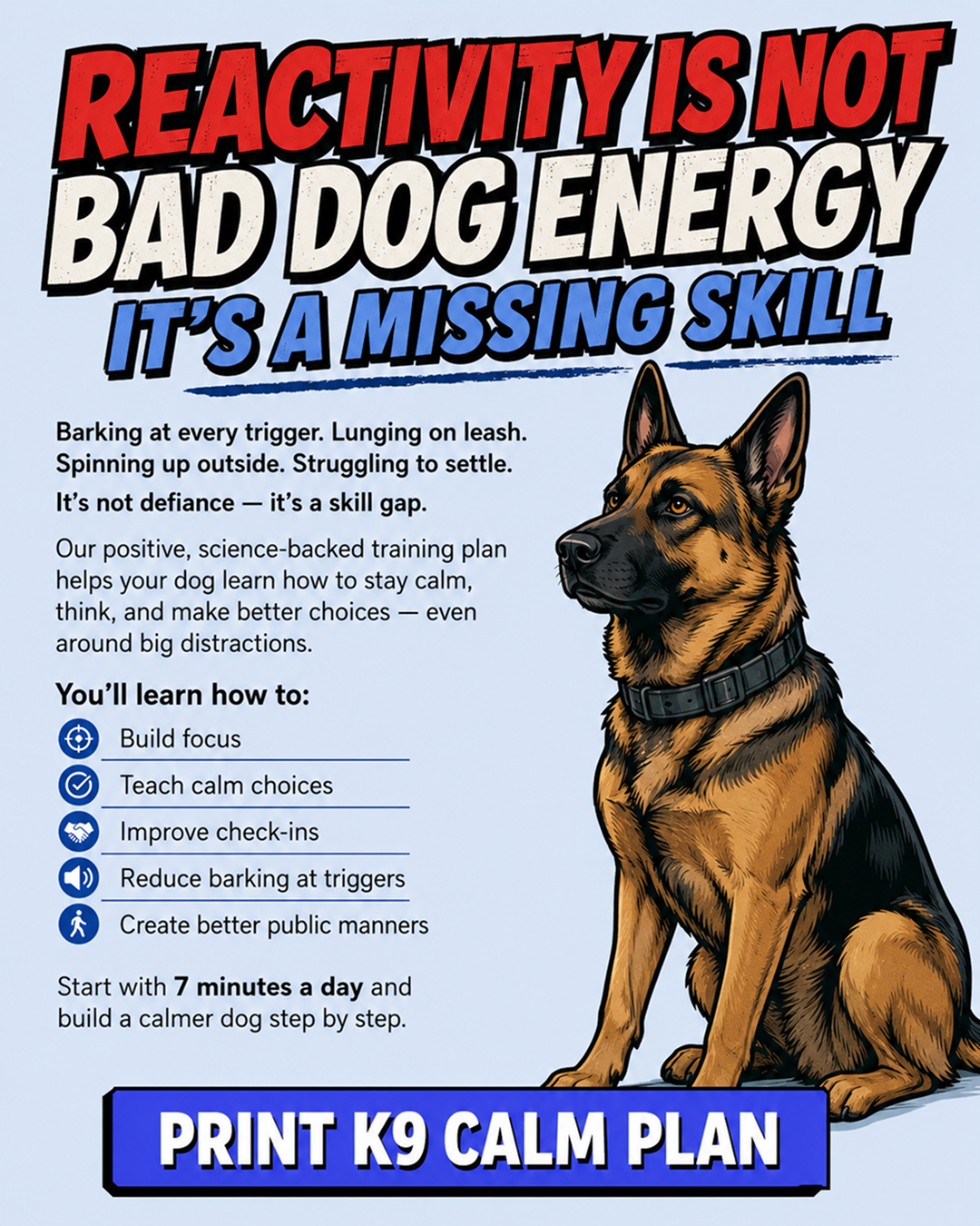 1st Dog Training Club Facebook ad