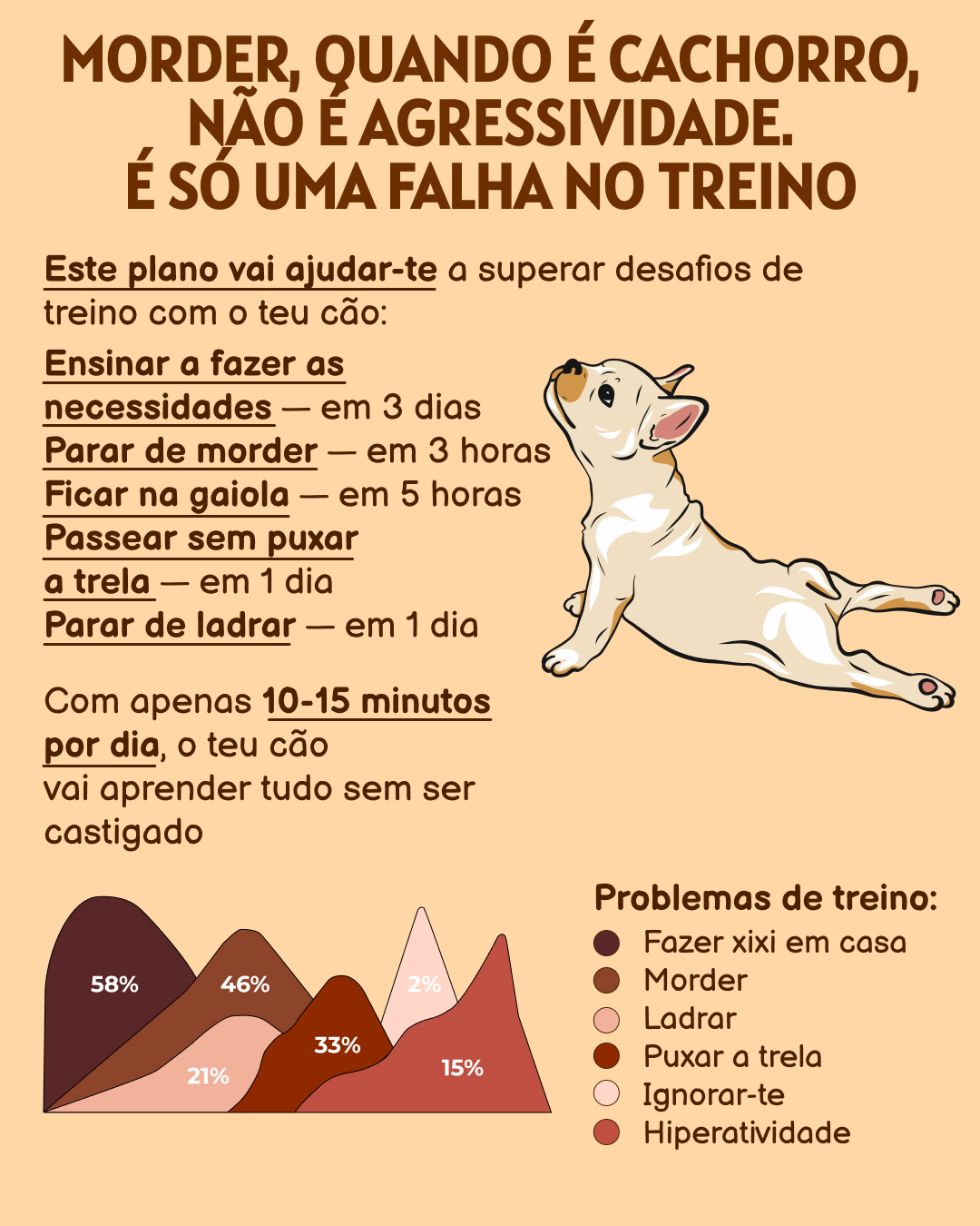 Ben Your Puppy Trainer Facebook ad