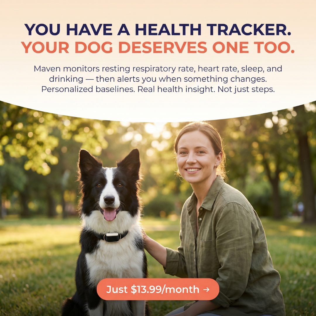 Maven Pet Facebook ad
