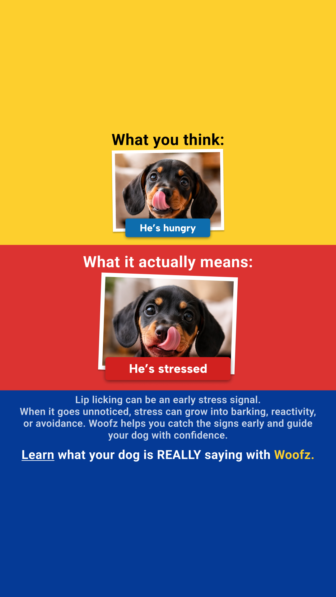 Woofz - Puppy Training Facebook ad