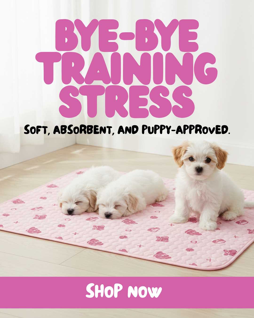 Potty Buddy Facebook ad