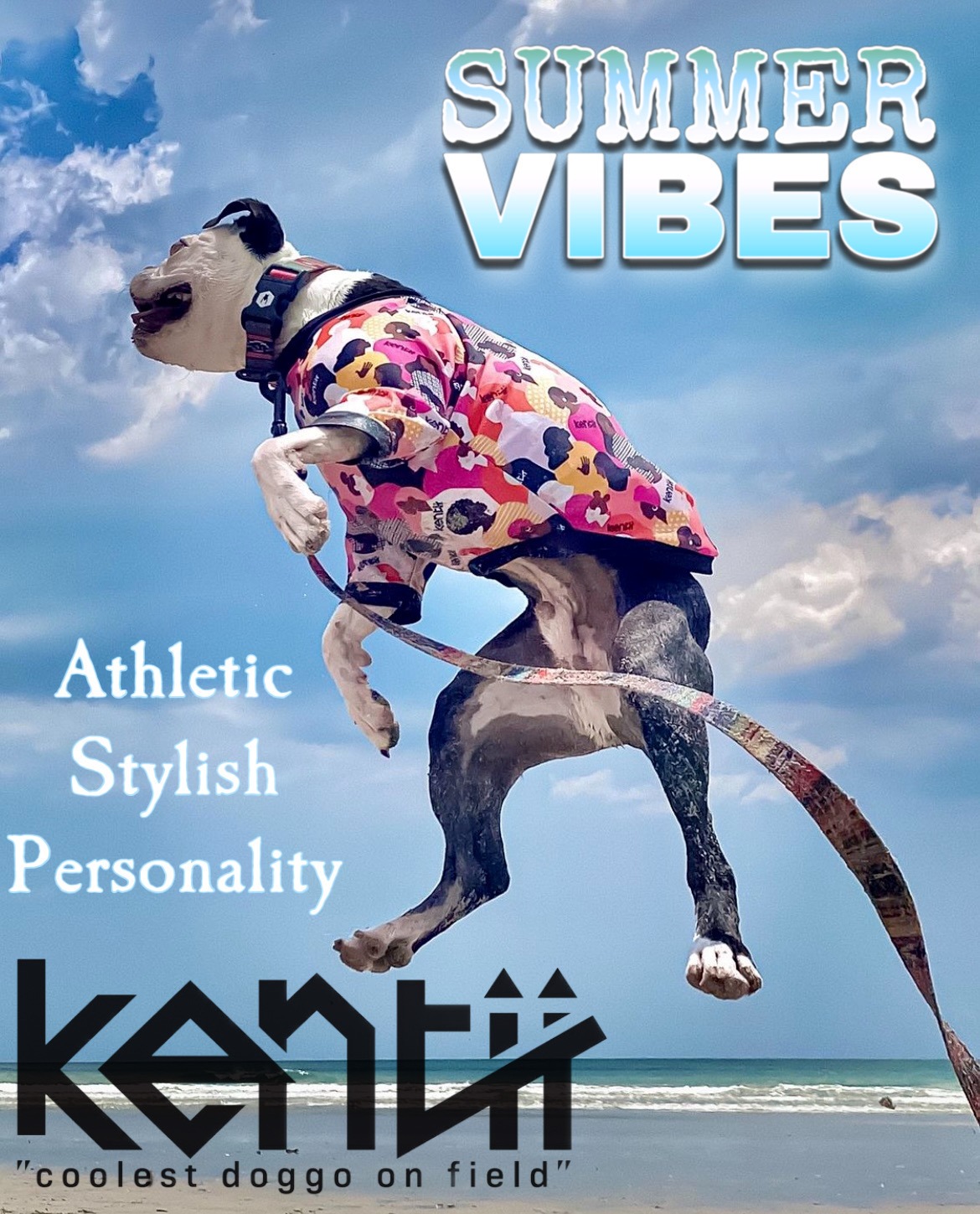 dogclothes_kentii Facebook ad