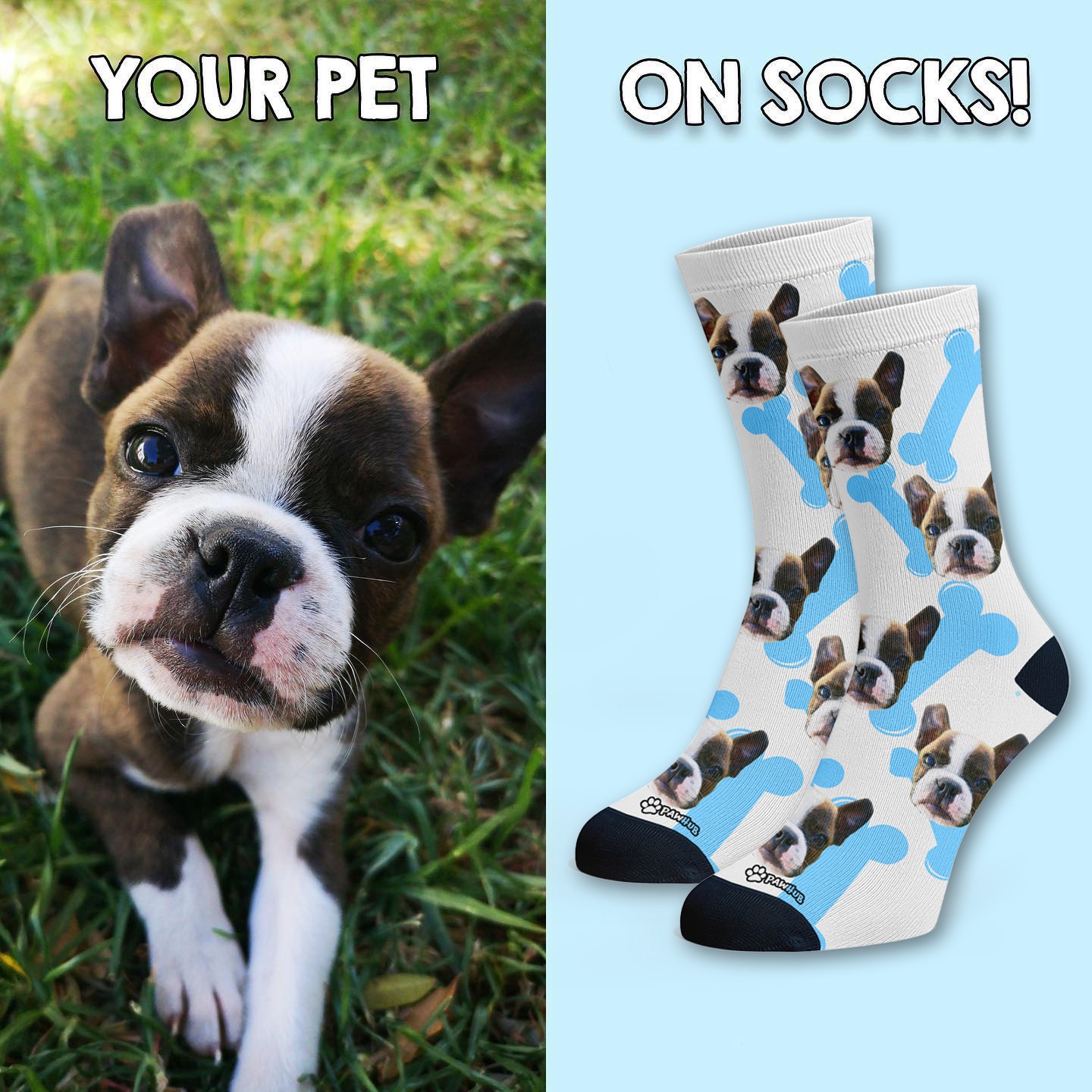 PawHub Facebook ad