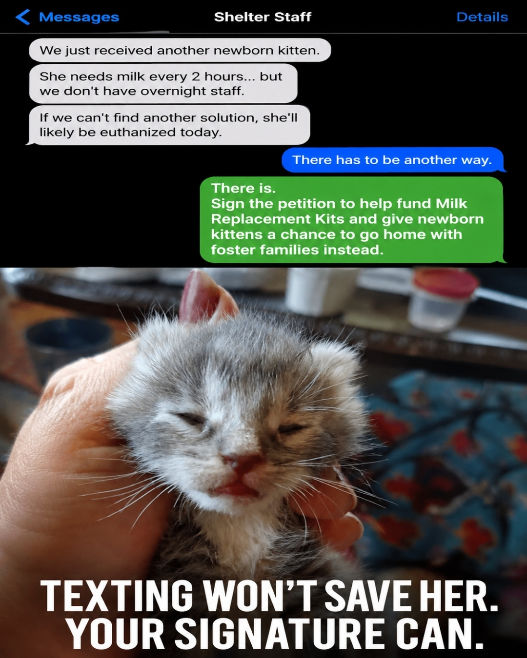 iHeartCats.com Facebook ad