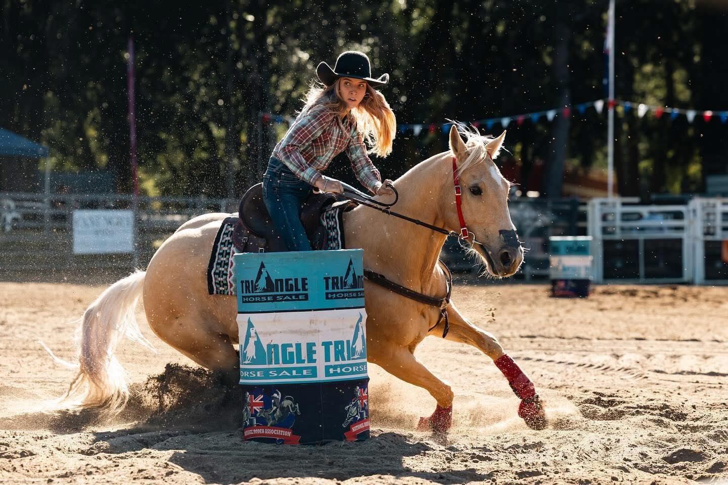 Triangle Horse Sale Facebook ad: Home | Triangle Horse Sale
