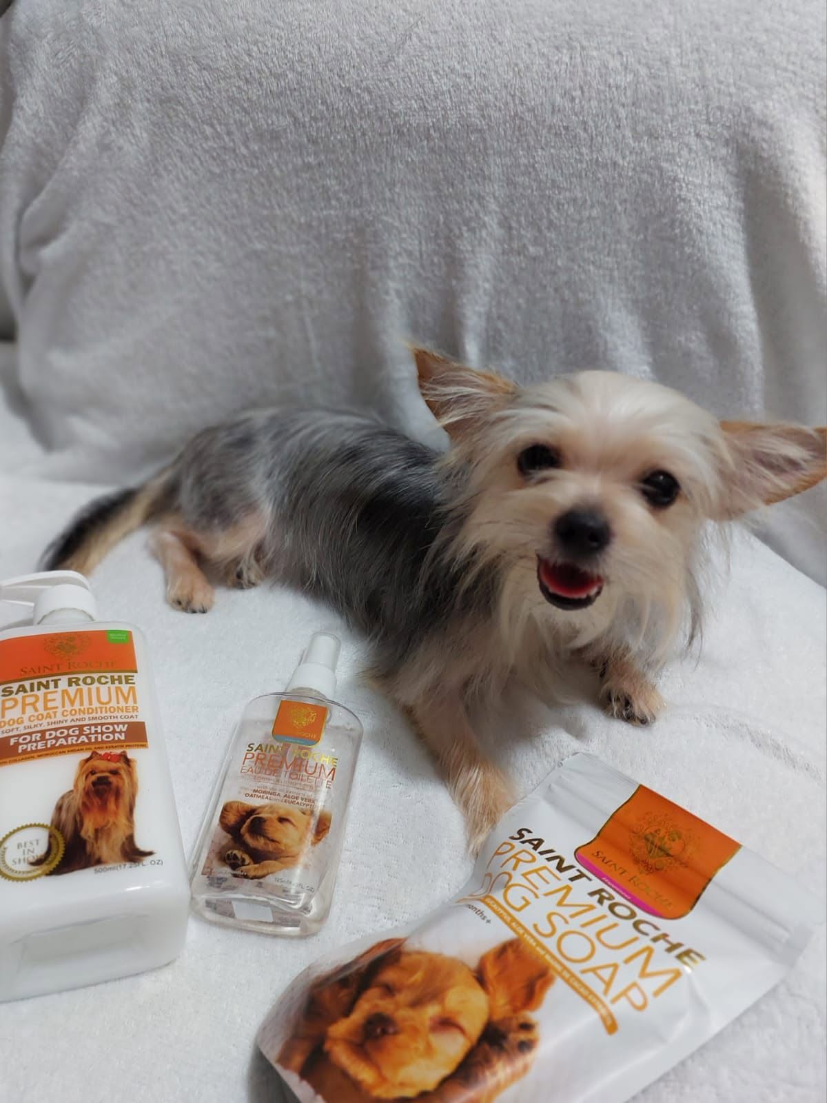 Saint Roche Premium Dog Shampoo Facebook ad