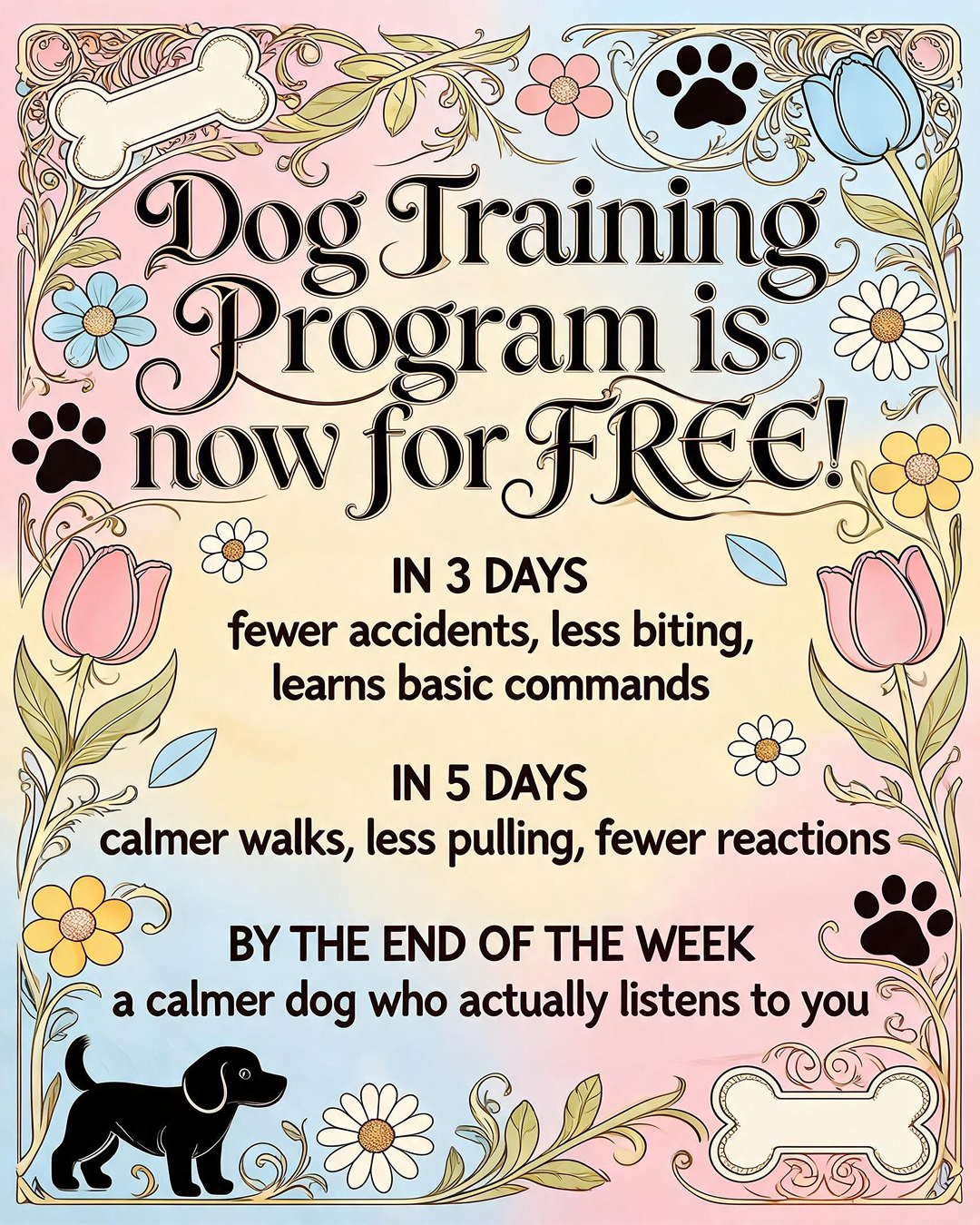 Puppy Tips for Training Facebook ad: Dog training doesn’t have to mean stress, barking…