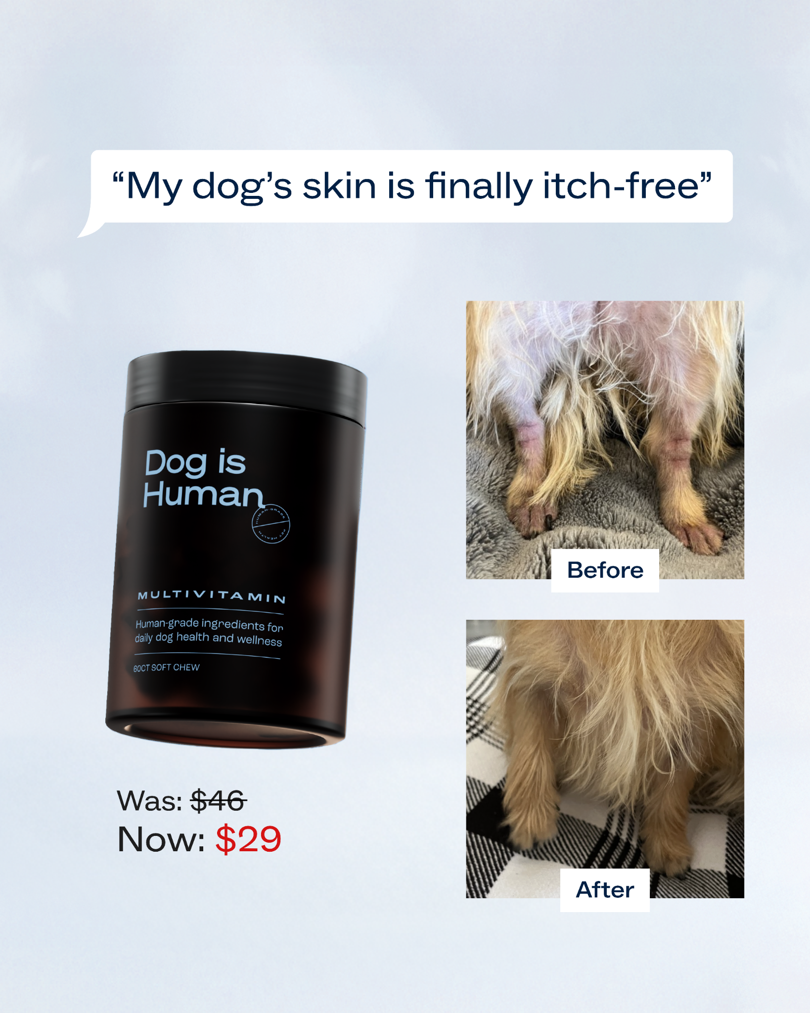 Dog is Human Facebook ad