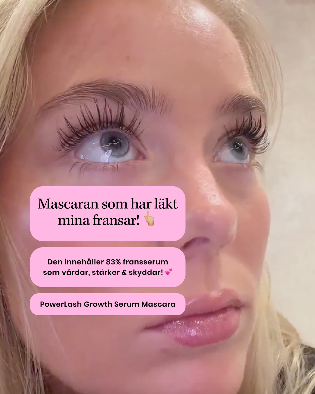 Lenoites Facebook ad