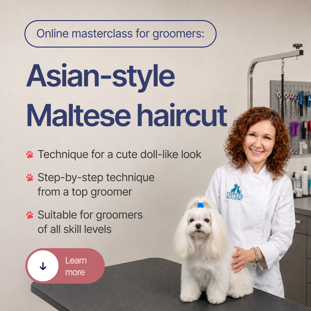 O2Pets Academy Facebook ad: Master the art of precision grooming