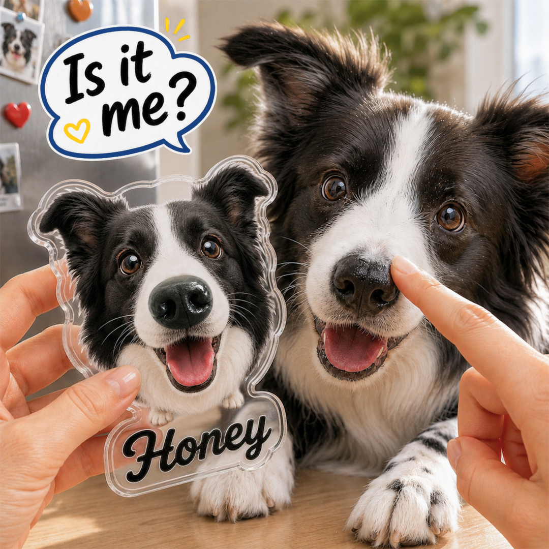 Soufeel Present Facebook ad: Your Pet's Nose, Right On Your Fridge!