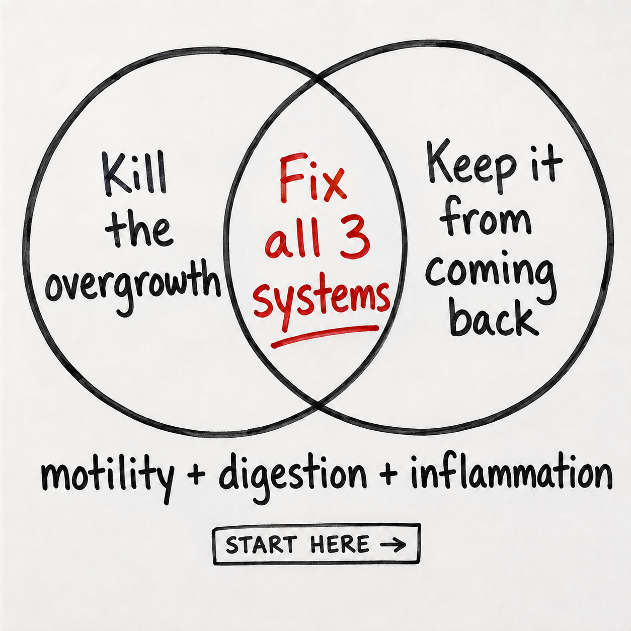 Dr. Bob Morgan Facebook ad: Support Digestion Naturally