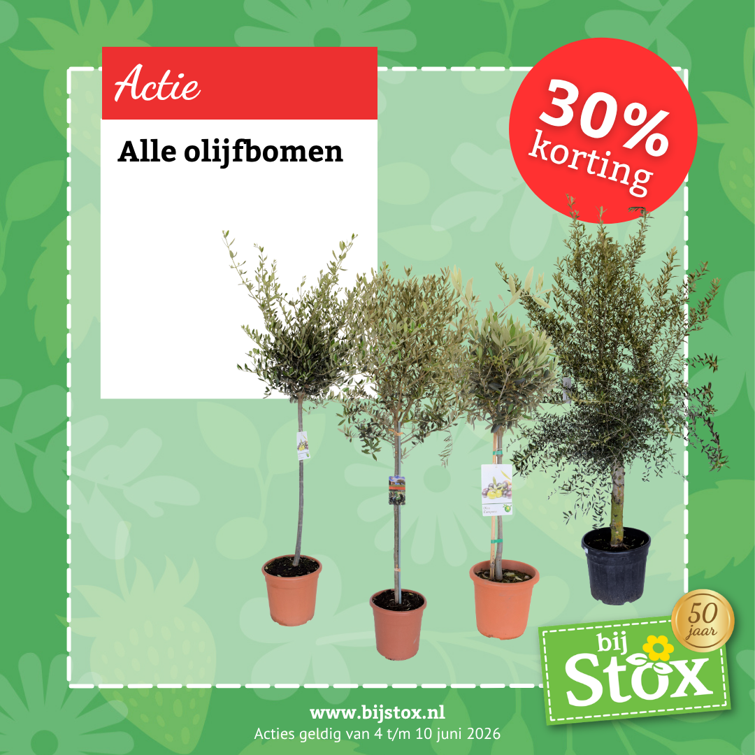 Tuincentrum BijStox Facebook ad