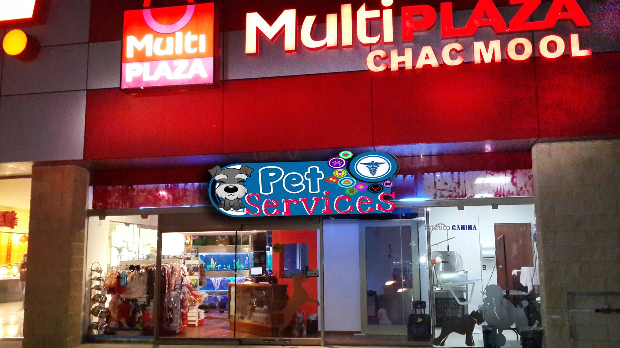 Pet Services Cancun Facebook ad: Contamos con estética Canina Abierta, logrando con esto…