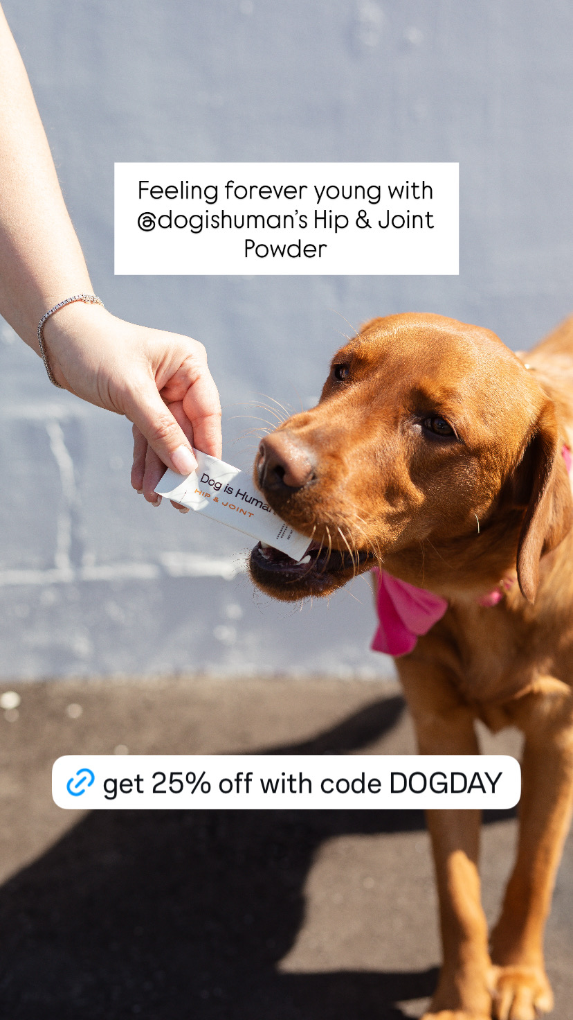 Dog is Human Facebook ad