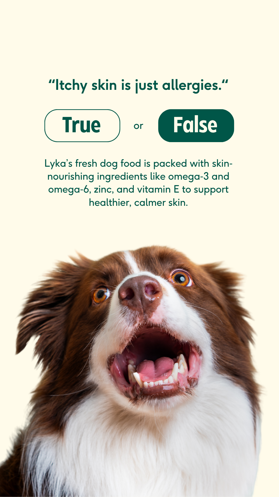 Lyka Pet Food Facebook ad