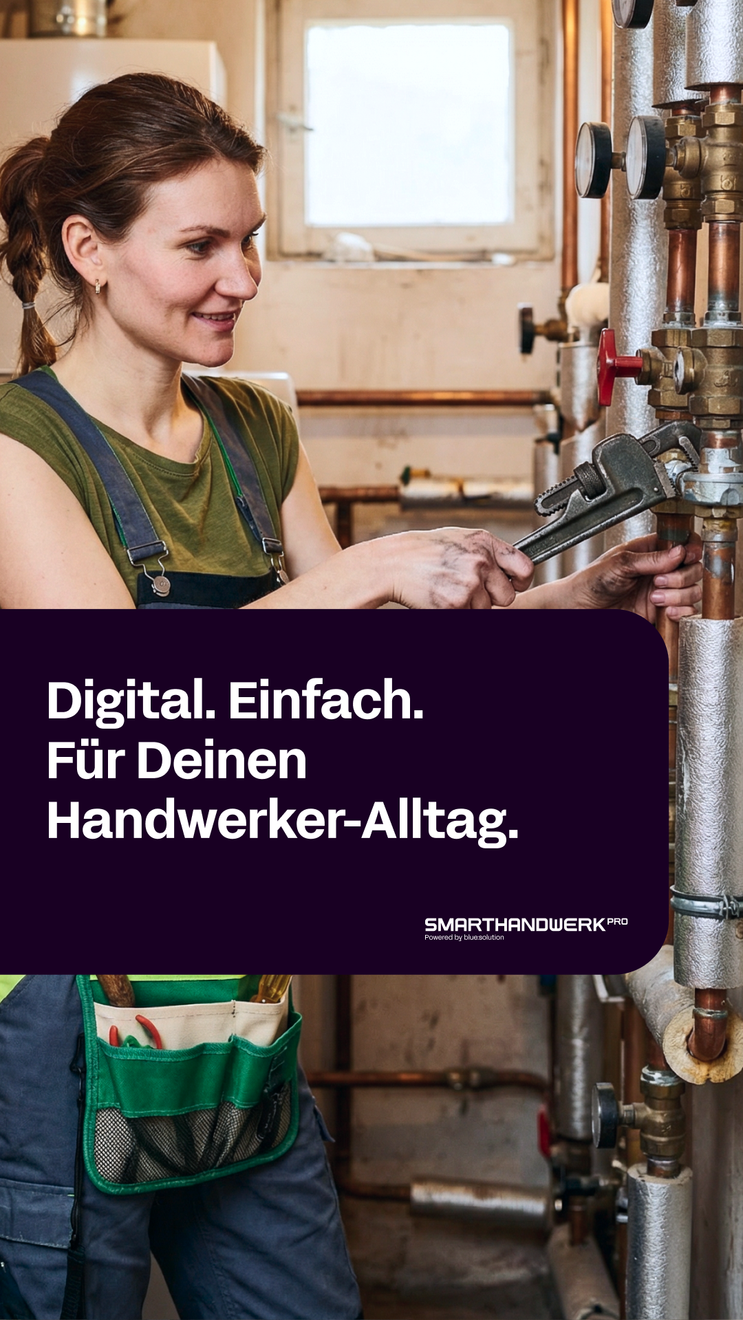 bluesolution software GmbH Facebook ad
