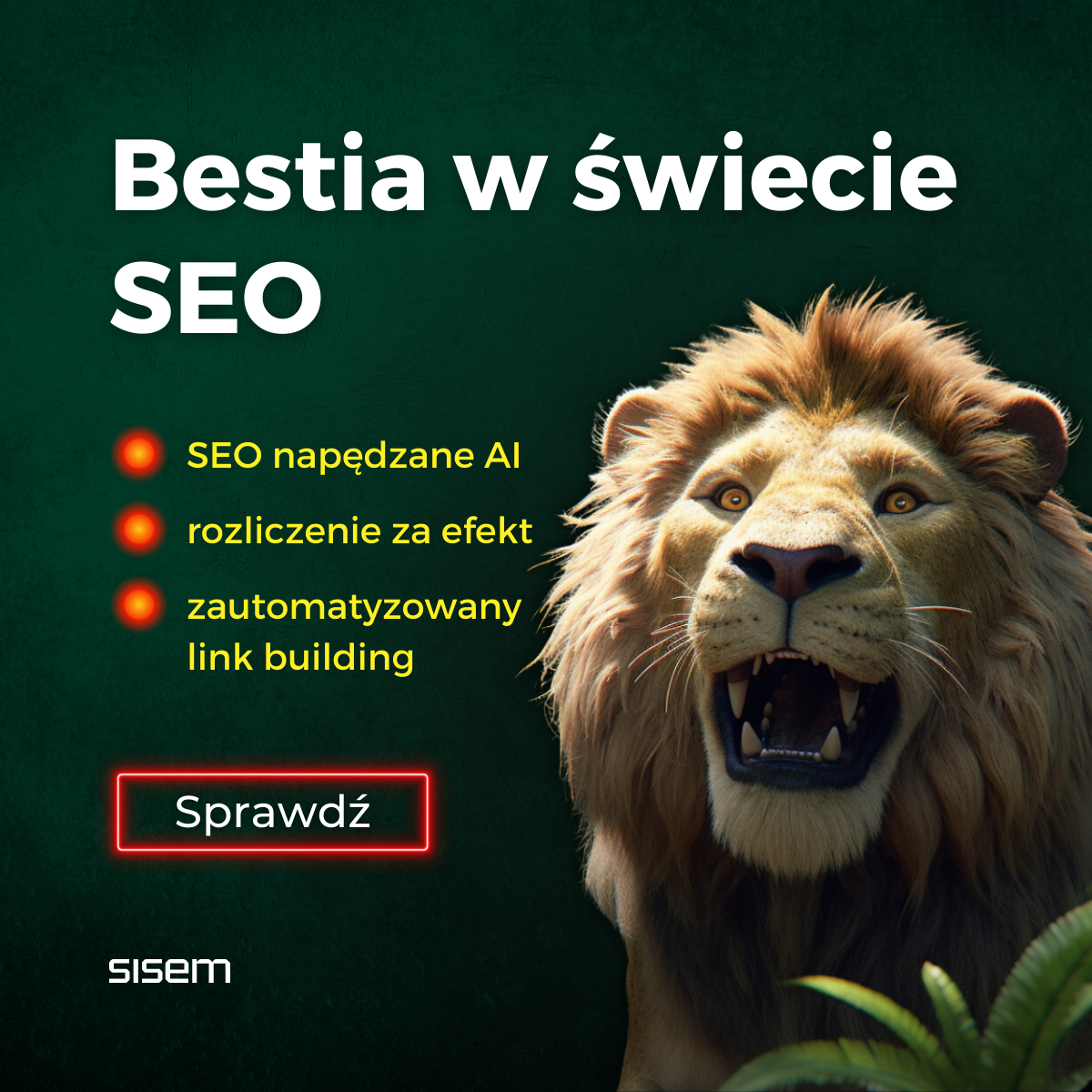 sisem.pl Facebook ad from Jul 17, 2024