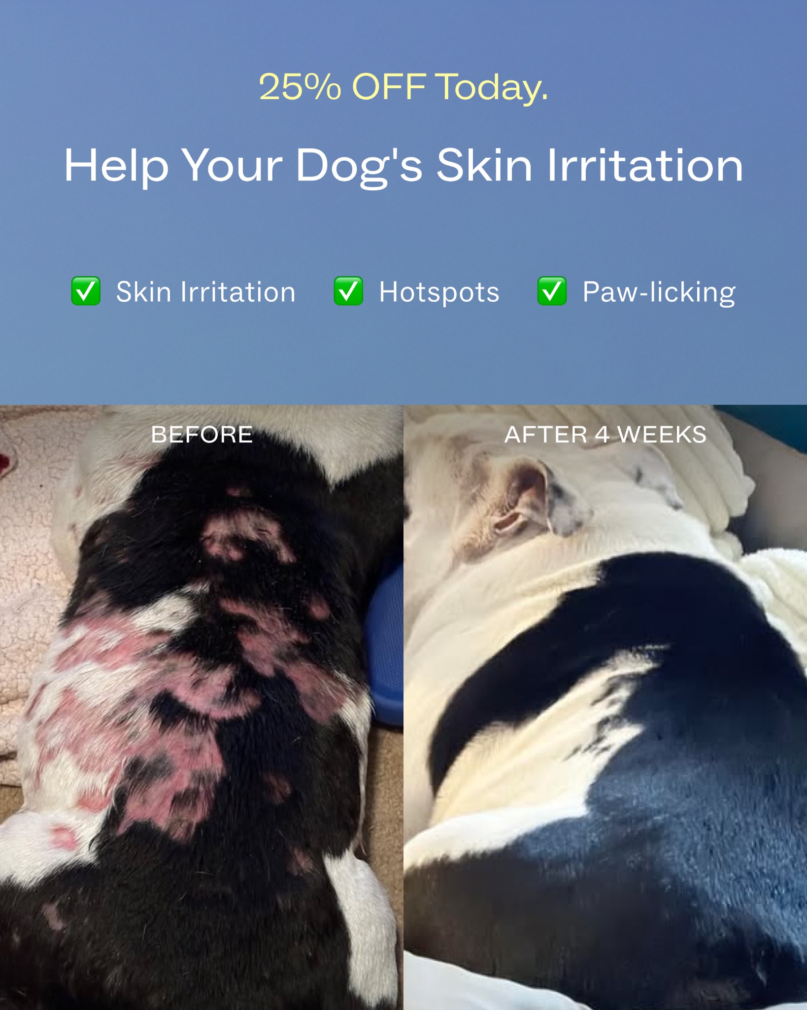 Dog is Human Facebook ad
