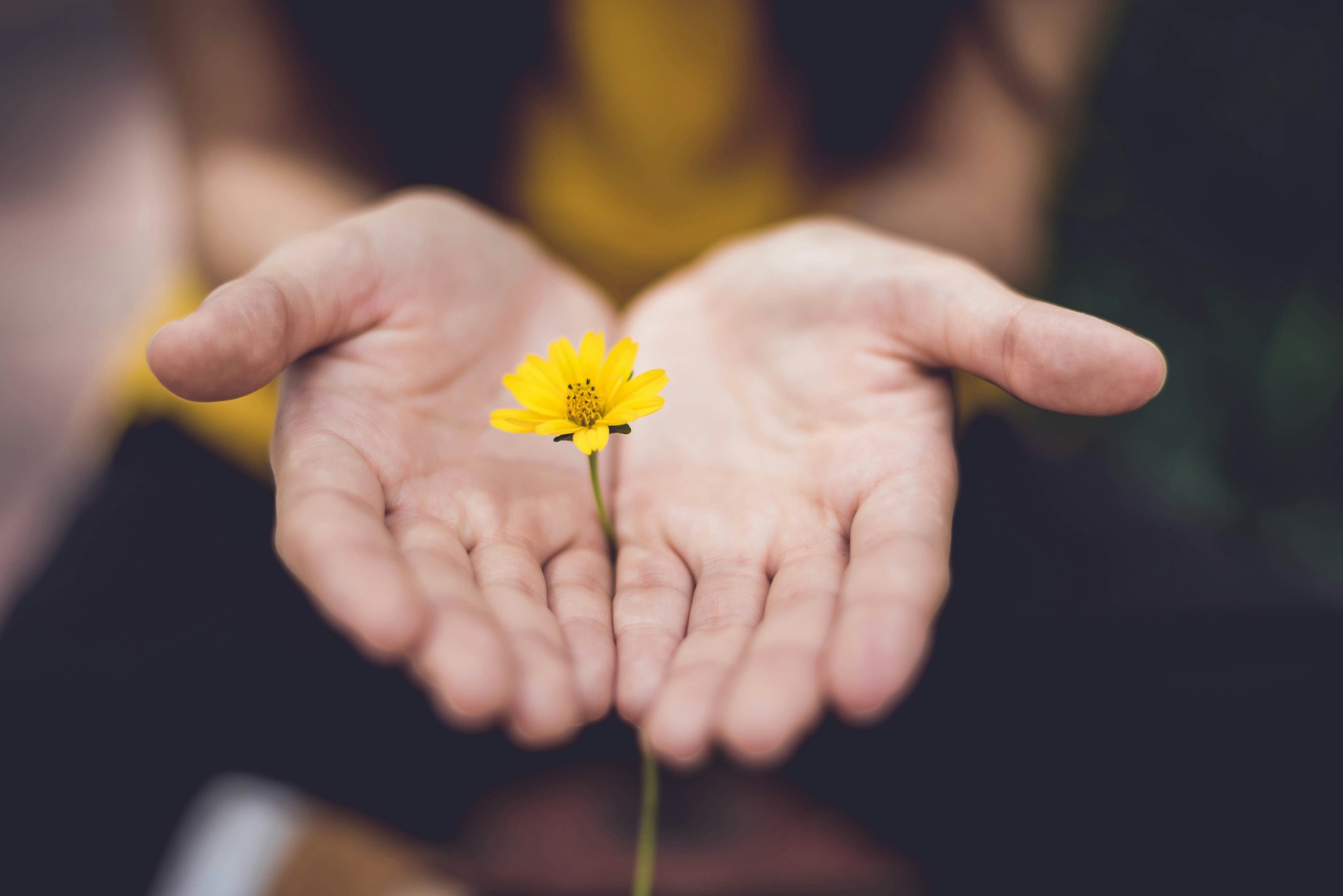 Balance by Audrey Facebook ad: Åbningstilbud 395kr for din første Reiki healing session…