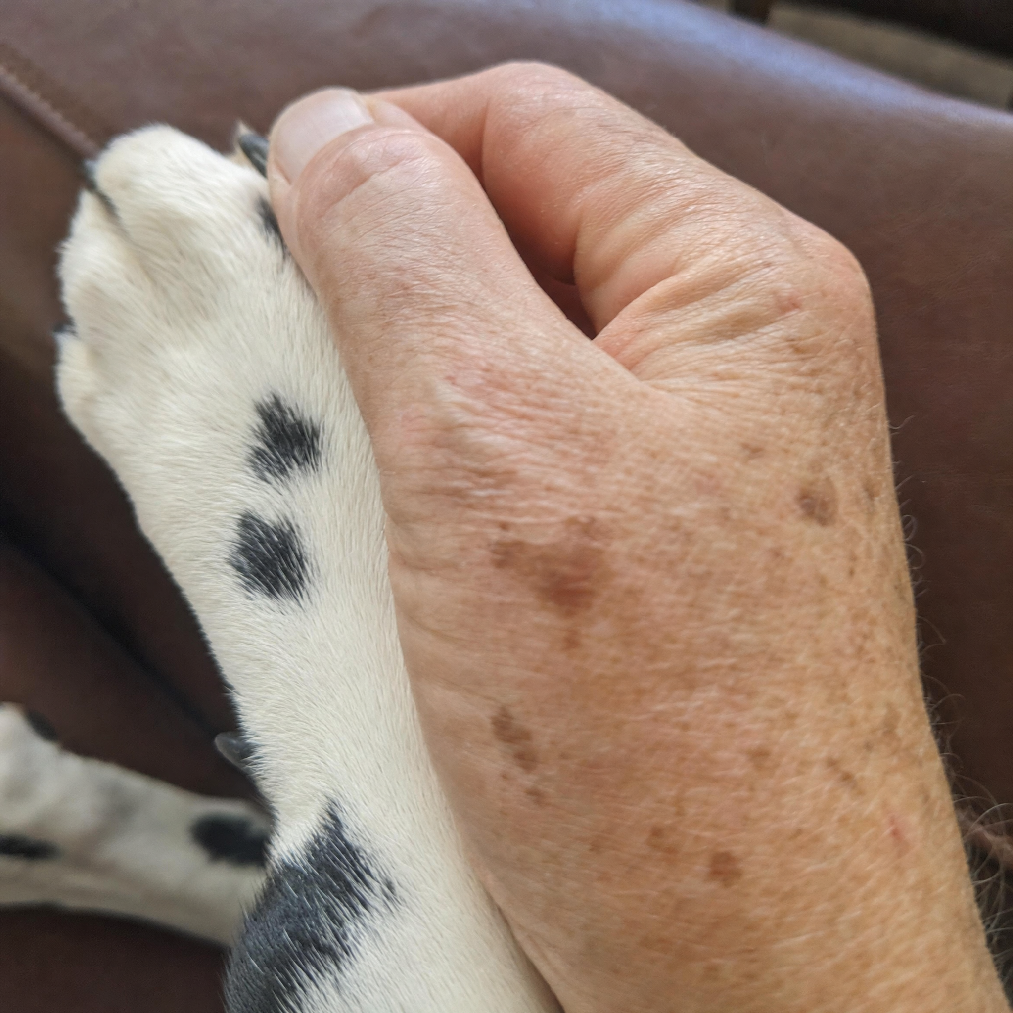 Pasnida Skincare Facebook ad: Our Spots Matched