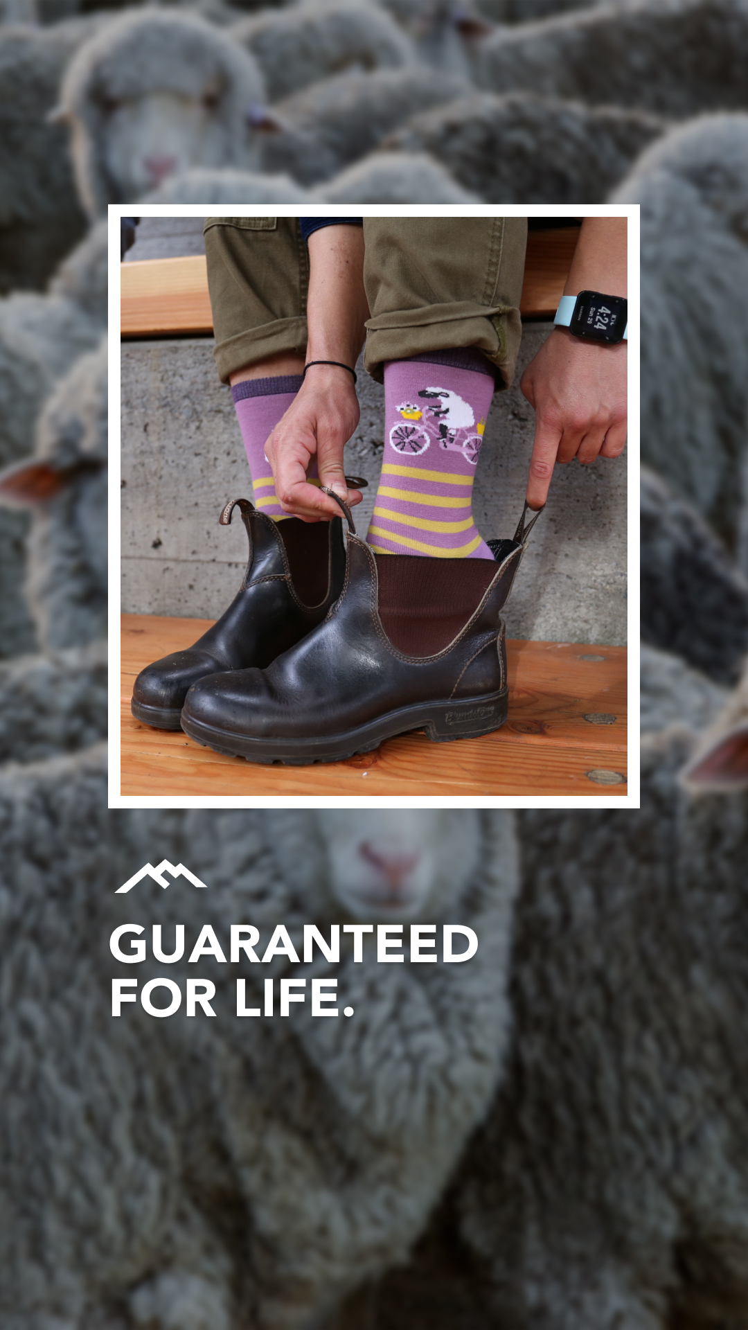 Darn Tough Vermont Socks Facebook ad