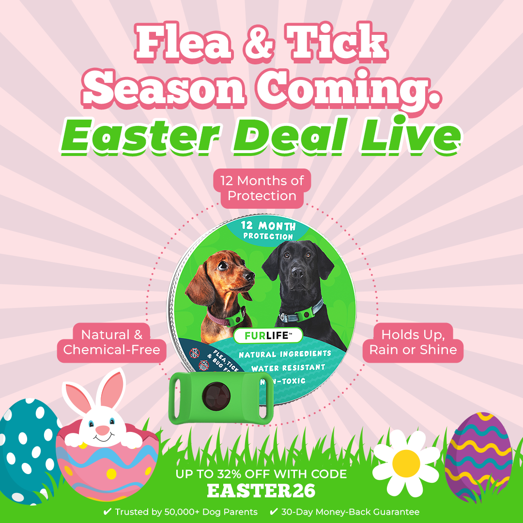 FurLife Facebook ad