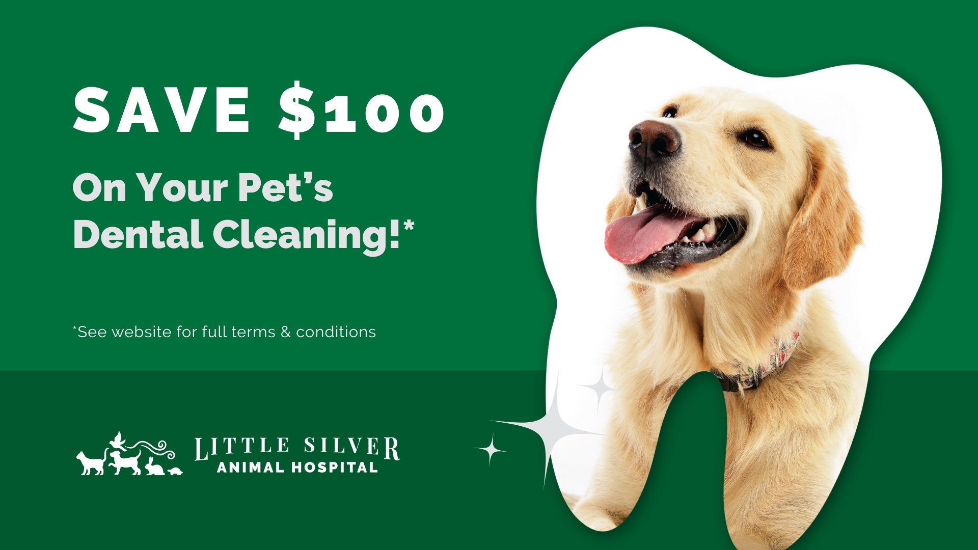Little Silver Animal Hospital Facebook ad from Feb 1, 2026