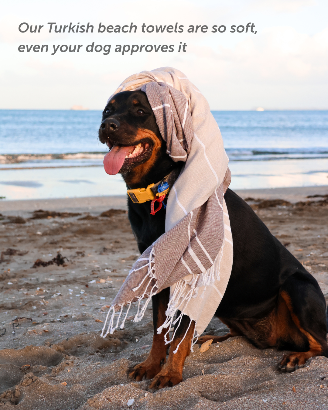 Treat & Co Facebook ad