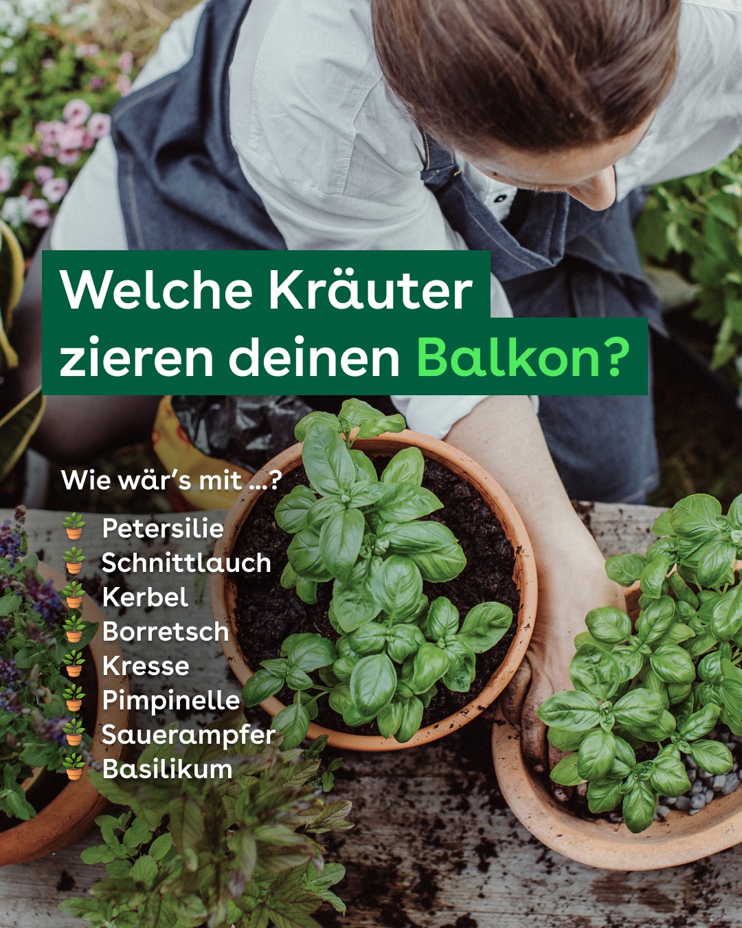 AOK Hessen Facebook ad: Auch kleine Balkone können Großes bewirken!