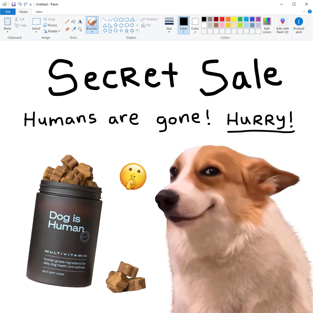 Dog is Human Facebook ad