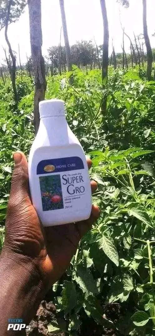 Mr. Mike Sipanje Facebook ad: GOOD NEWS FOR FARMERS THIS FARMING SEASON.