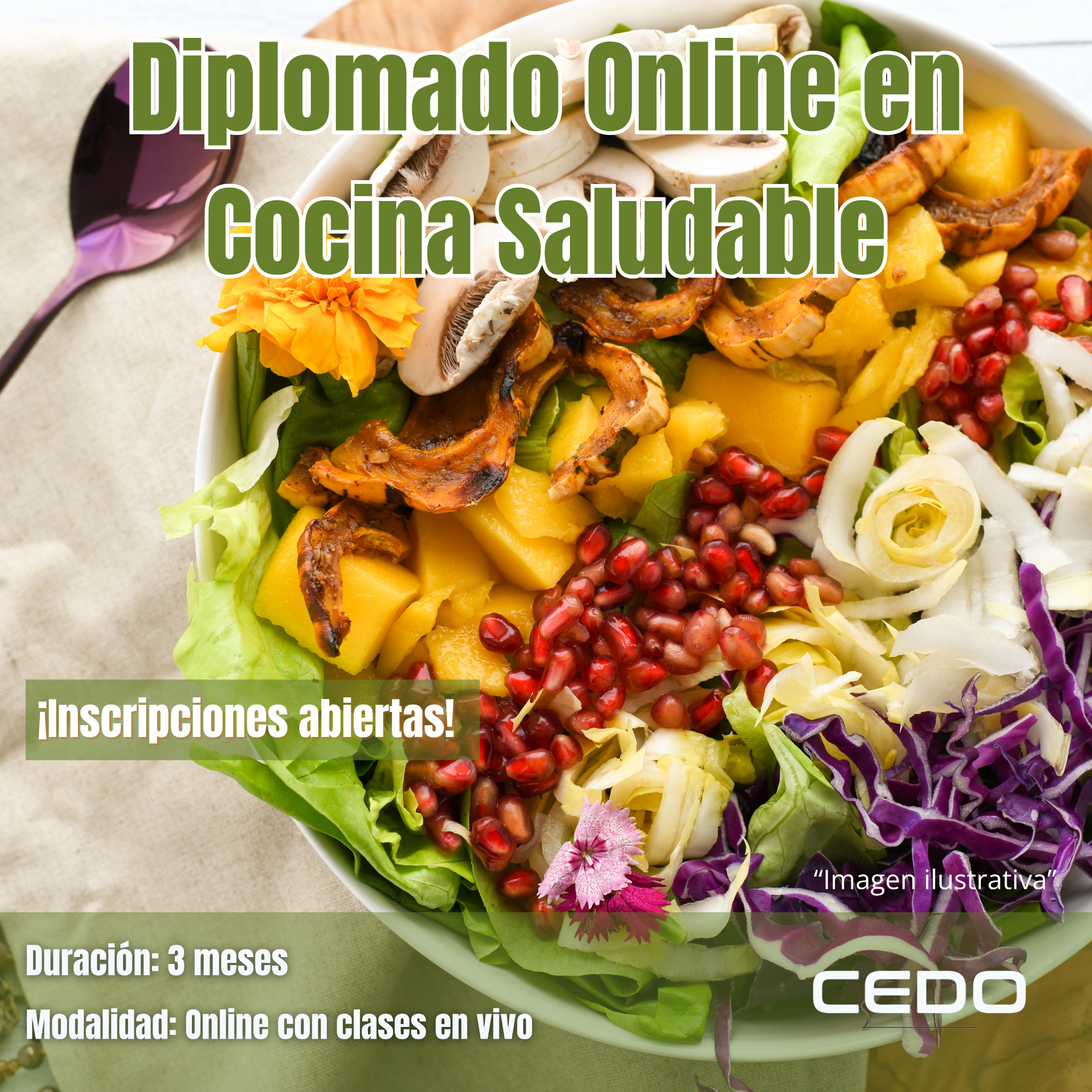 Centro Educativo Zacatlán Facebook ad: ¡Aprende Cocina Saludable!