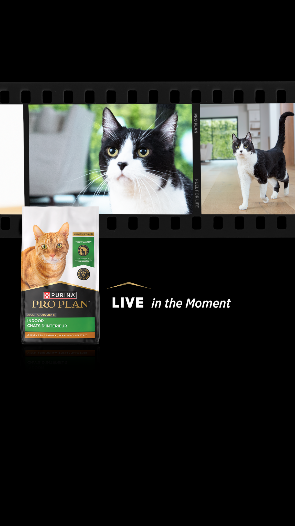 Purina Pro Plan Facebook ad