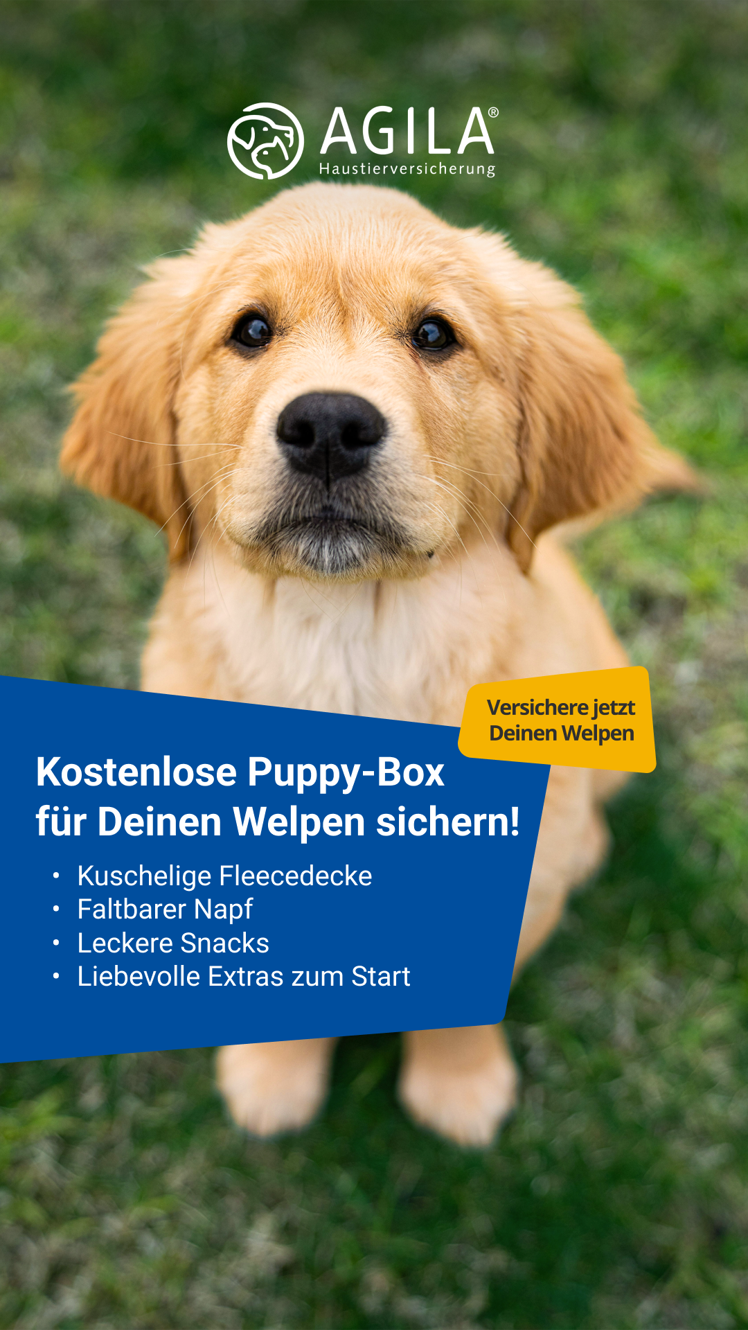 AGILA Haustierversicherung Facebook ad