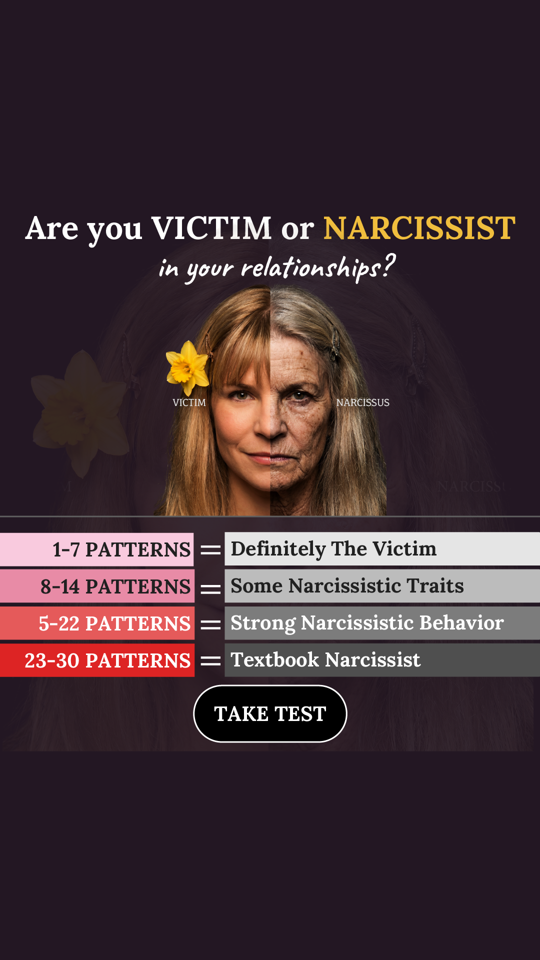 Personality Type Facebook ad