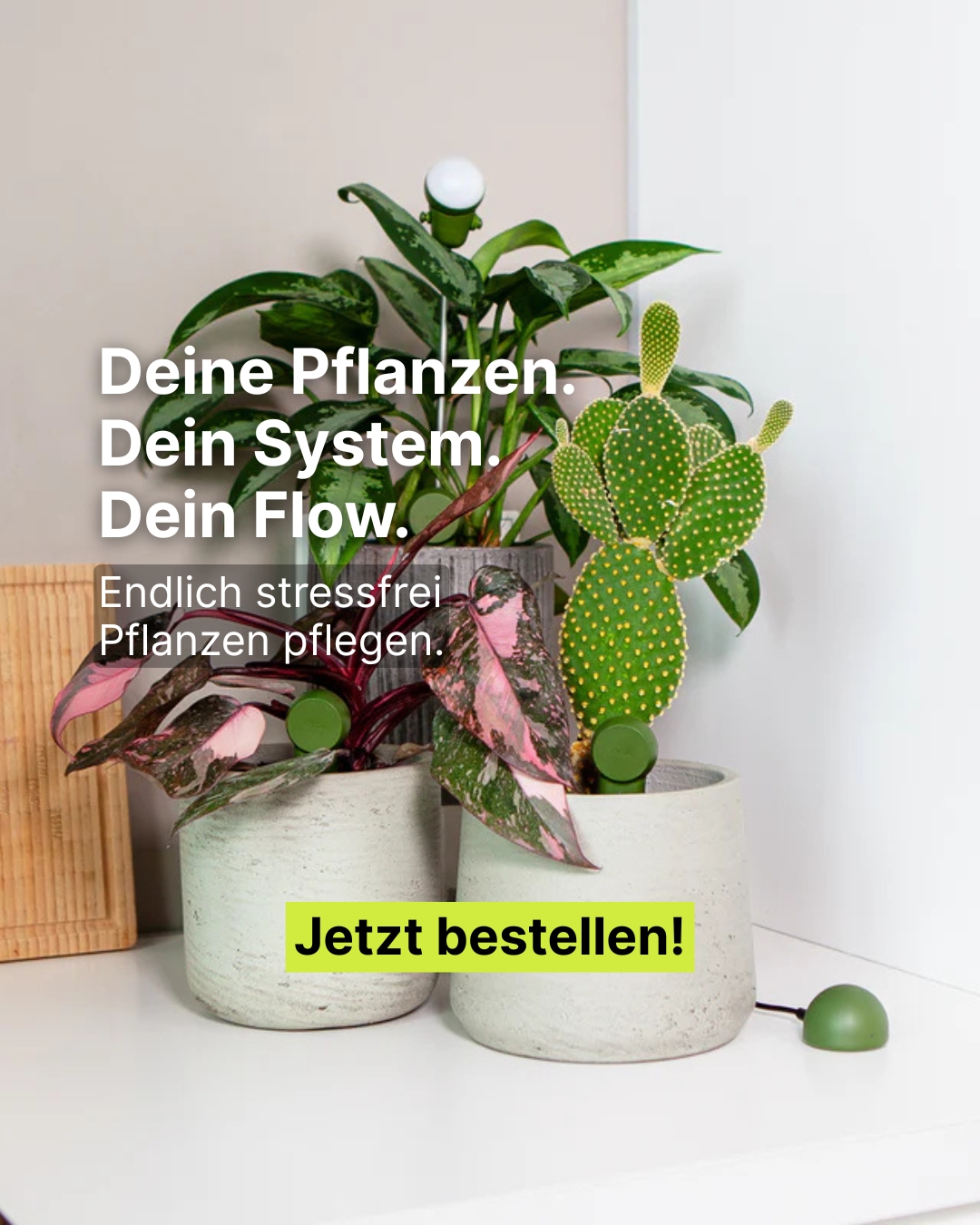 FYTA Facebook ad