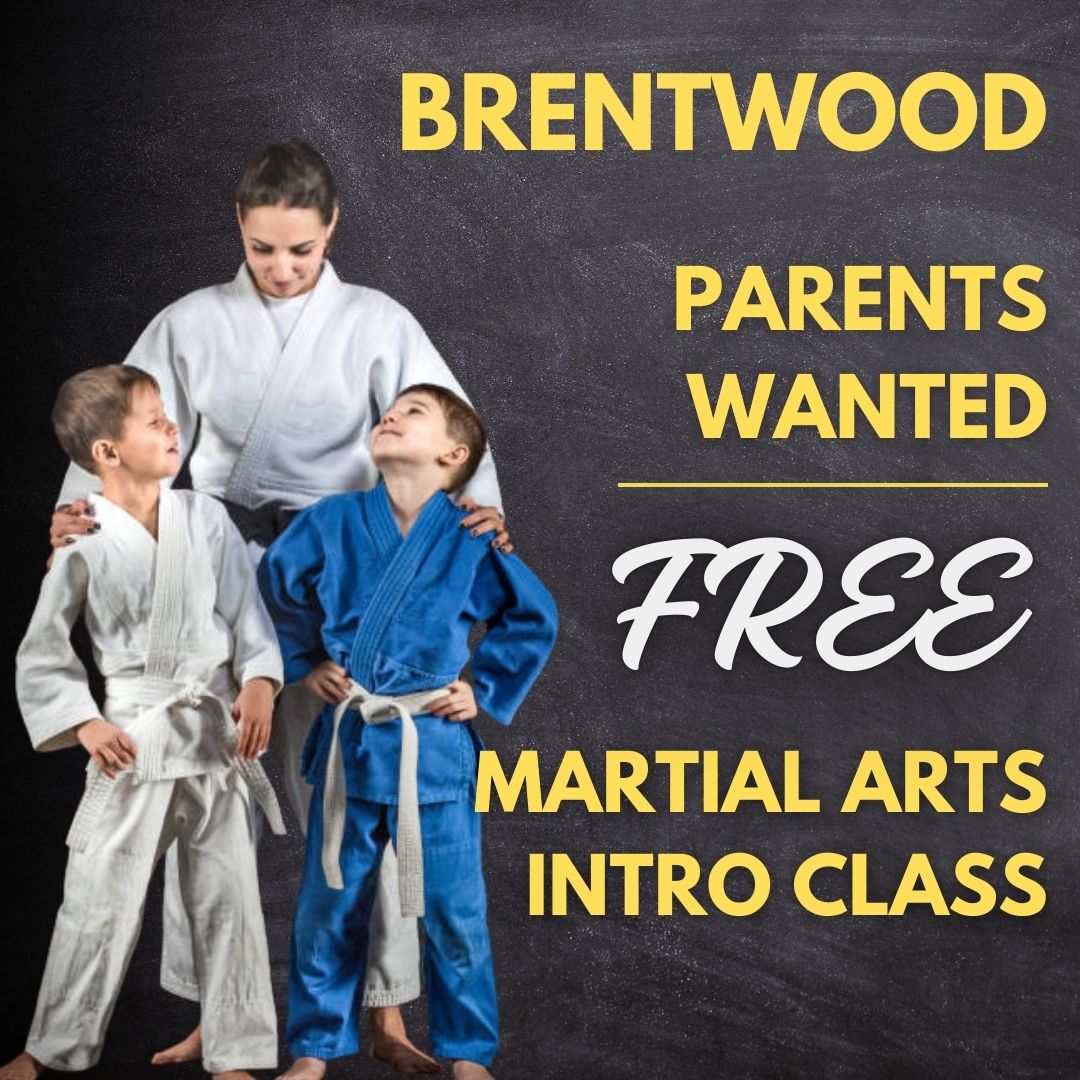 Twin Tigers Academy of Self Defense Facebook ad